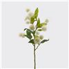 EDG Enzo De Gasperi Ramo Cefalantus Olis Realistico 65cm Bianco