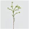 EDG Enzo De Gasperi Plumaggine Ramo Realistico 67cm Verde Bianco