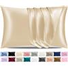 Pamposh Federe in raso di seta per capelli e pelle, confezione da 2 pezzi, dimensioni standard con chiusura a busta (2 federe (50 x 75 cm), champagne)