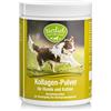 Sanct Bernhard Tierlieb, polvere di collagene, per cani e gatti, idrolizzato di collagene biologicamente attivo, 400 g