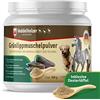 Veddelholzer, polvere naturale - 500g di Estratto di conchiglia verde per cani integratore articolazioni - con elevata accettazione