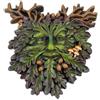 Nemesis Now Autumn's Reflection - Placca da parete, 18 cm, colore: Verde
