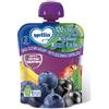 DANONE NUTRICIA SPA SOC.BEN. MELLIN POUCH MIRTILLO/RIBES 90 G