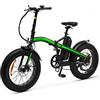 Argento Ar-bi-220014, E Bike Unisex Adulto, 250W