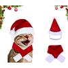 PTBWS Animale Domestico Regolabile Natale Cappello Santa,Costume di Natale per Animali Domestici,Costume natalizio per animali domestici,con Sciarpai,per cani, gatti, animali domestici