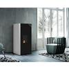 PALAZZETTI Termo stufa a pellet Ecofire Dado Idro 20kW acqua Palazzetti 805715342 [05131000]