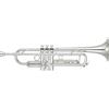 Yamaha YTR-8345RGS-04