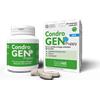 INNOVET CONDROGEN PUPPY 60 COMPRESSE - SOSTITUISCE CONDROGEN ENERGY