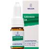 WELEDA ITALIA Weleda Calendula D4 Collirio Medicinale Omeopatico 10 Ml