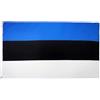 AZ FLAG BANDIERA ESTONIA 90x60cm - GRAN BANDIERA ESTONE 60 x 90 cm Poliestere leggero - Bandiere - AZ FLAG