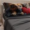 PETTI Artigiani Italiani - Lenzuola Animali con Gatti e Cani in Cotone con Federe in Stampa Digitale, Lenzuola Letto Singolo, Completo Letto Singolo Grigio Scuro, 100% Made in Italy