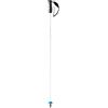 HEAD Worldcup Rebels Carbon - Bastoncini da Sci Unisex, Colore: Bianco/Nero/Blu velocità, 120