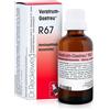 DR.RECKEWEG Reckeweg R67 Gocce 22ml