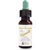 Start Remedy Benoit 28ml