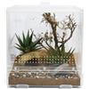 Lucky Reptile LifeTarrium 20 x 20 x 20 cm