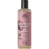 Urtekram Dare To Dream, Shampoo Alla Soffice Rosa Canina, Biologico - 250 ml