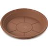 Erba Sottovaso leader cm 60 terracotta