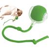 Generic Palla giocattolo per gatti interattiva, Palla per animali domestici a rotolamento automatico, Chewie Viral Rolling Ball, Palla intelligente rotante per animali domestici Cat & Dog, Giocattoli