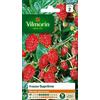 Vilmorin - Bustina semi Fragola con 4 stagioni Supremi