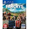 Ubisoft Far Cry 5 - PlayStation 4 [Edizione: Spagna]