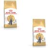 ROYAL CANIN British Shorthair Adult | Confezione Doppia | 2 x 400 g | Alimento Completo per Gatti British Shorthair | Sviluppato appositamente per i Gatti British Shorthair | A Partire dai 12 Mesi