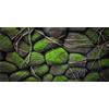 MIRRORANG 61x41cm Pietre di Muschio Terrario Acquario Sfondo Albero Radice Roccia Pesce Serbatoio Sfondo Barbuto Drago Vivarium Sfondo Vinile