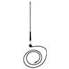 Blaupunkt Club T48 DAB, antenna ad asta