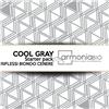 ARMONIABIO Cool Gray - Starter Pack Riflessi Biondo Cenere