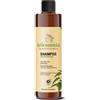 SPECCHIASOL Srl Tricomnia Shampoo Antiforfora Specchiasol 250ml