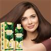 Zibeem Shampoo Colorante Istantaneo Per Capelli Castani, Ingredienti Naturali Vegetali Colore Capelli Castani Organici 100 Copertura Marrone Shampoo Colorante Unisex Lunga Durata 200 Ml