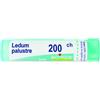 BOIRON LEDUM PALUSTRE MEDICINALE OMEOPATICO 200 CH GRANULI