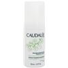 CAUDALIE VINOCLEAN SCH DET50ML - 981355670 - bellezza-e-cosmesi/viso/pulizia-viso
