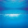 Juwel Aquarium UK Limited, poster su entrambi i lati, sfondo 2 blu oceano, 60 x 30 cm