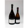 Canevel SETÀGE EXTRA DRY 2023 | Valdobbiadene Superiore DOCG | MAGNUM | 1,5 l New Bottle