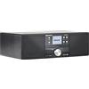 Panasonic SC-DM202EG-K Sistema Stereo Micro Hi-Fi Compatto con CD, Radio DAB+/FM, USB e Bluetooth, Altoparlanti da 24W, Telecomando, Display LCD TFT 2,4", Impostazioni EQ, Nero.