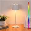 Diealles Shine Lampada LED Senza Fili, Lampada Dimmerabile 3000K+RGB, Lampada Touch Senza Fili 4000mah Batteria, Lampada Senza Fili Ricaricabile per Ristorante Interno Esterno (Bianco)