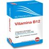 Vitamina B12 40 Compresse