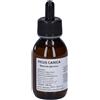 Oti Ficus Carica Macerato Glicerico 10% Gocce 100Ml 100 ml