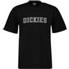 DICKIES T-SHIRT MELVERN