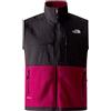 THE NORTH FACE GIACCA DENALI VEST