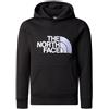 THE NORTH FACE FELPA CON CAPPUCCIO LOGO GARZATA