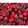 Lindt - Roulette - Noccionoir - 100 grammi