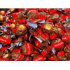 Lindt - Roulette - Noccionoir - 1000 grammi