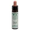 SANTIVERI Sa AINSWORTHS BEECH 10ML