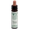 SANTIVERI Sa AINSWORTHS WALNUT 10ML