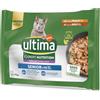 Affinity Ultima Ultima Cat Expert Nutrition Senior Pollo e Manzo Umido per gatto - 4 x 70 g