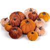 Whaline 12 zucche artificiali autunnali in 3 dimensioni, zucca in finto velluto, arancione, marrone, kaki, piccola zucca in schiuma, centrotavola per la tavola autunnale, per il raccolto, il