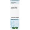 ERBA VITA GROUP SpA PASSIFLORA SOMM.Sol.Ial. EBV