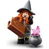 BRICK Flip LEGO D&D Minifigure serie: Tasha The Witch Queen (Tasha la regina delle streghe) - Personaggi Lego DND da collezionare singolarmente (71047)