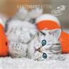 Alpha Edition Kittens 2025 CALENDARIO DA PARETE 30X30 CM